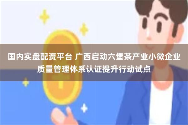 国内实盘配资平台 广西启动六堡茶产业小微企业质量管理体系认证提升行动试点