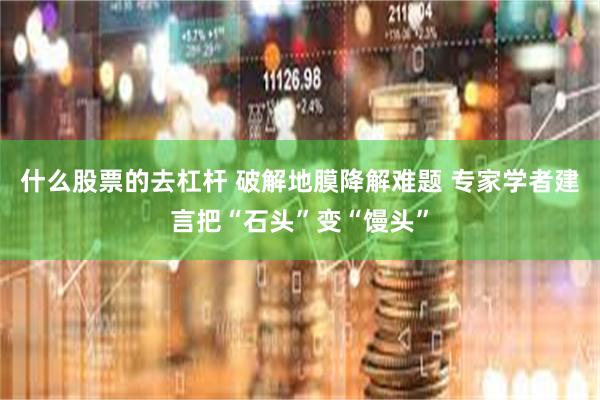 什么股票的去杠杆 破解地膜降解难题 专家学者建言把“石头”变“馒头”