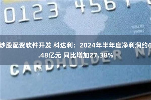 炒股配资软件开发 科达利：2024年半年度净利润约6.48亿元 同比增加27.38%