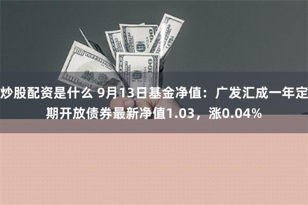 炒股配资是什么 9月13日基金净值：广发汇成一年定期开放债券最新净值1.03，涨0.04%