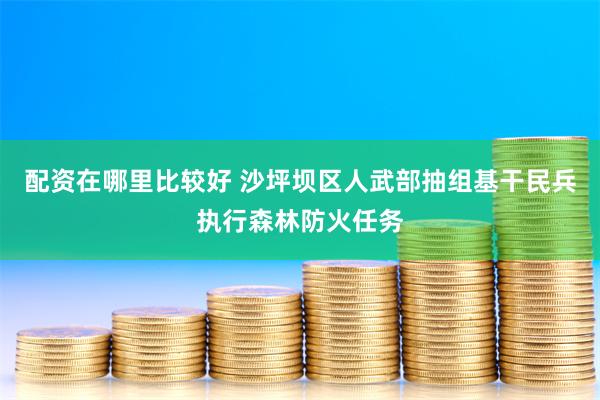 配资在哪里比较好 沙坪坝区人武部抽组基干民兵执行森林防火任务