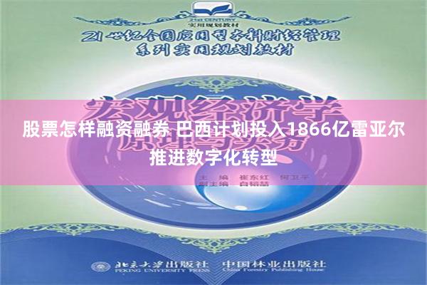 股票怎样融资融券 巴西计划投入1866亿雷亚尔推进数字化转型