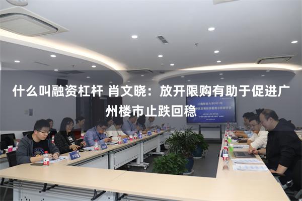 什么叫融资杠杆 肖文晓：放开限购有助于促进广州楼市止跌回稳