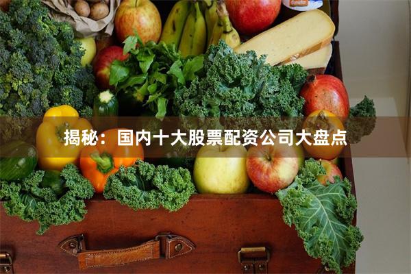 揭秘：国内十大股票配资公司大盘点