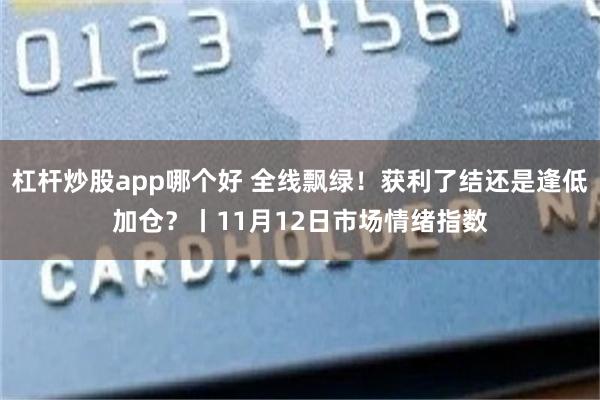 杠杆炒股app哪个好 全线飘绿！获利了结还是逢低加仓？丨11月12日市场情绪指数