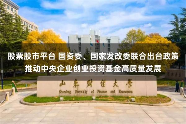 股票股市平台 国资委、国家发改委联合出台政策推动中央企业创业投资基金高质量发展