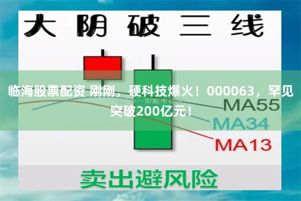 临海股票配资 刚刚，硬科技爆火！000063，罕见突破200亿元！