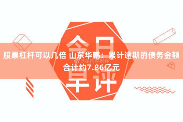 股票杠杆可以几倍 山东华鹏：累计逾期的债务金额合计约7.86亿元