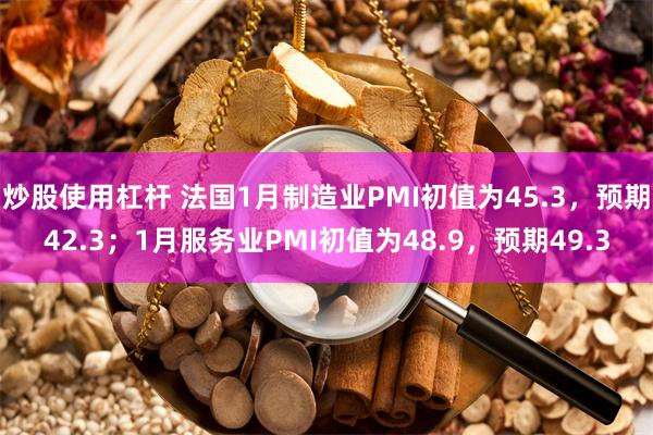 炒股使用杠杆 法国1月制造业PMI初值为45.3，预期42.3；1月服务业PMI初值为48.9，预期49.3