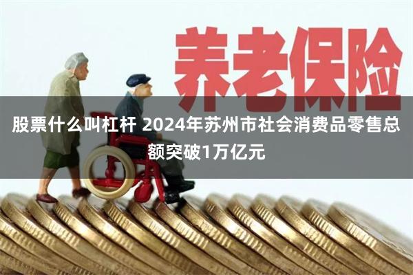 股票什么叫杠杆 2024年苏州市社会消费品零售总额突破1万亿元