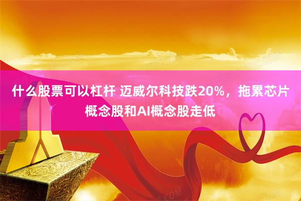 什么股票可以杠杆 迈威尔科技跌20%，拖累芯片概念股和AI概念股走低