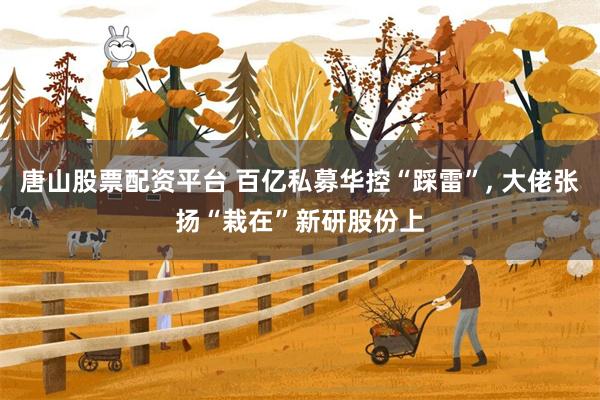 唐山股票配资平台 百亿私募华控“踩雷”, 大佬张扬“栽在”新研股份上