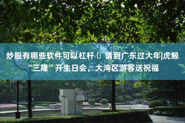 炒股有哪些软件可以杠杆 ​请到广东过大年|虎鲸“三隆”开生日会，大湾区游客送祝福
