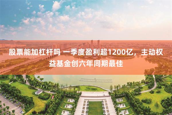 股票能加杠杆吗 一季度盈利超1200亿，主动权益基金创六年同期最佳