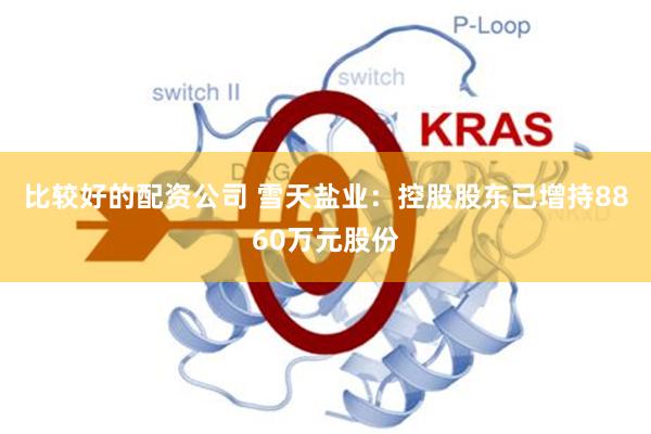 比较好的配资公司 雪天盐业：控股股东已增持8860万元股份